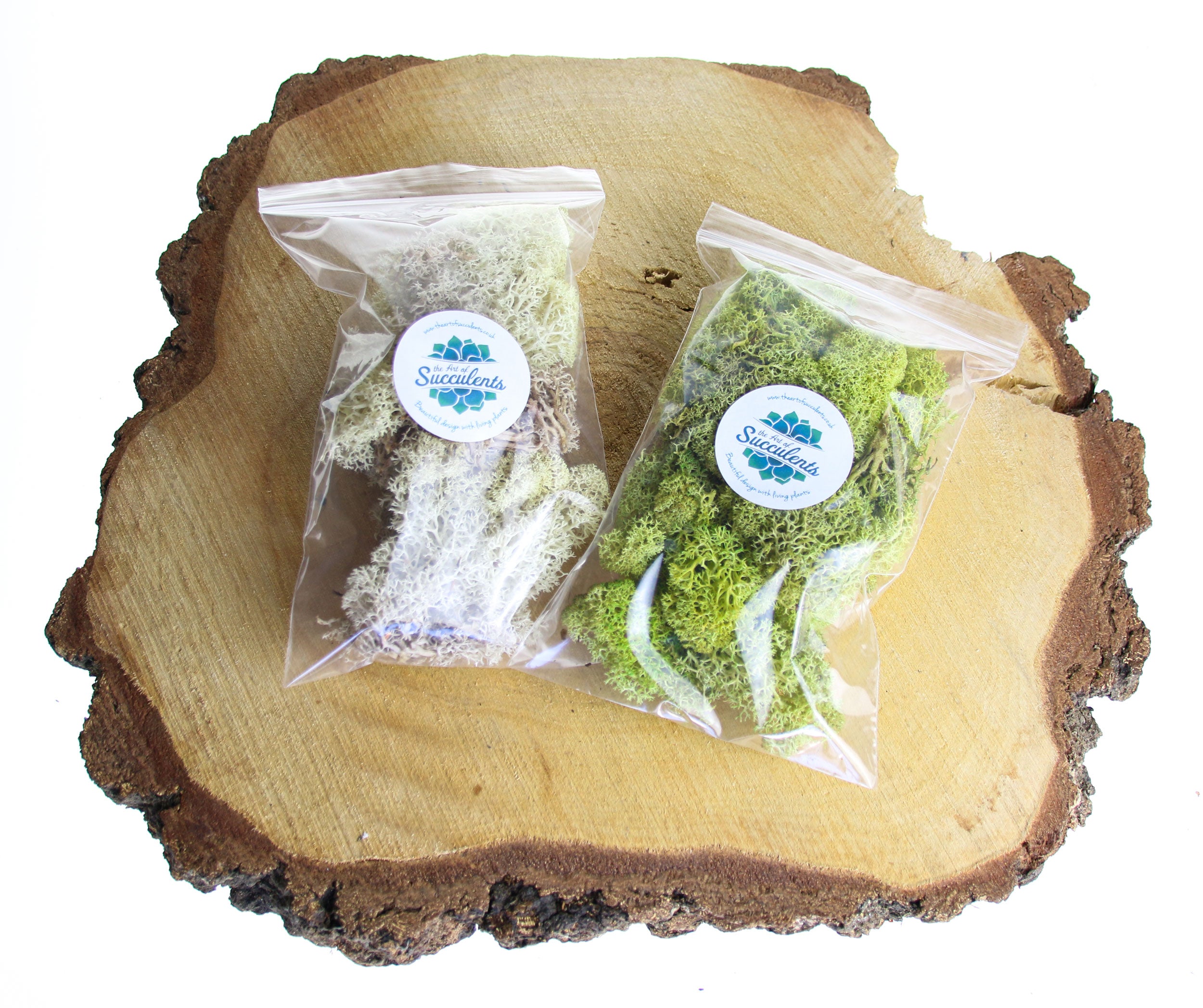 Reindeer Moss  Lichen Natural Preserved Terrarium Supplies Decoration  Landscaping For Terrariums, Projects & Crafts - Terrarium Creations