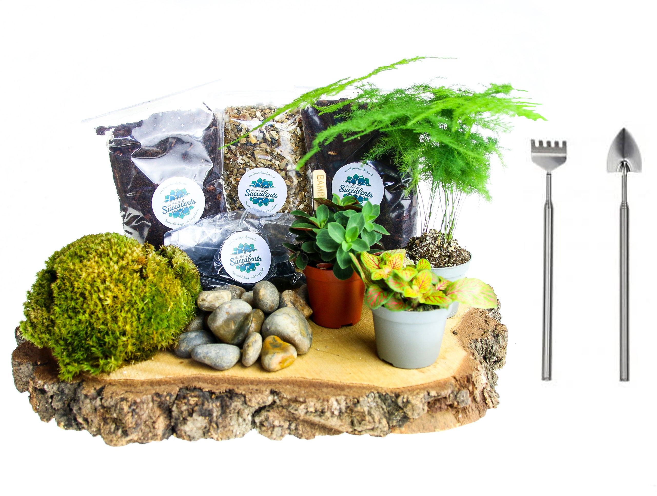 Closed Terrarium Starter Kit, Moss & Plants, Small