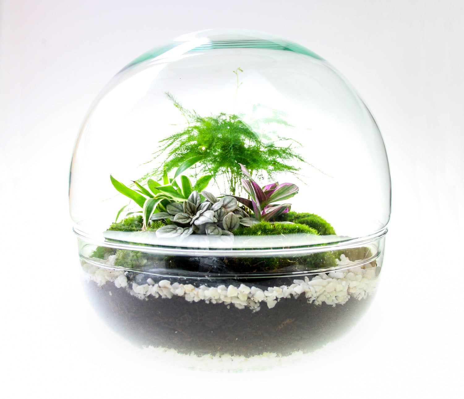 Recycled glass terrarium to buy online