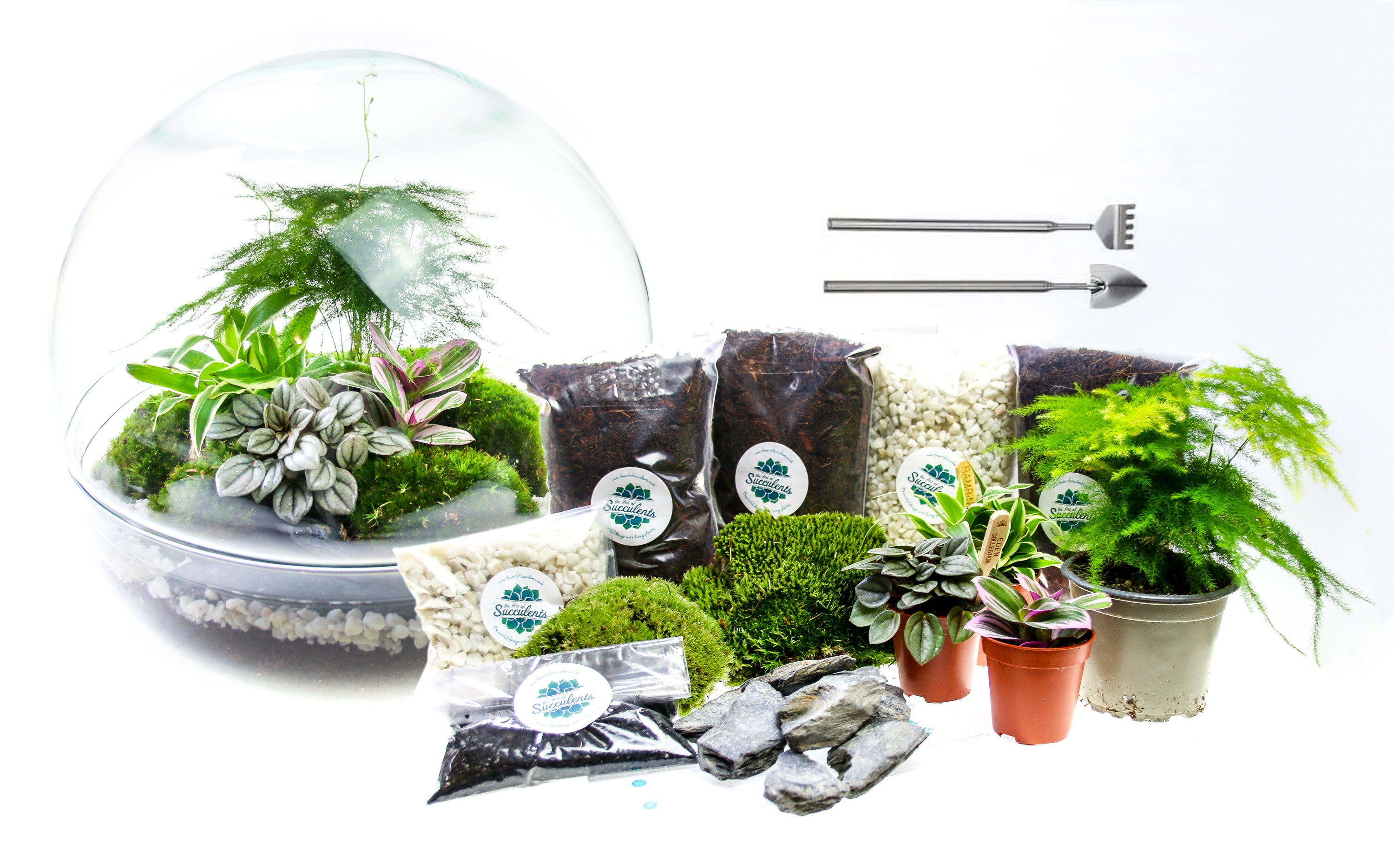 Terrarium kit with gravel, activated charcoal, terrarium tools, moss and plants