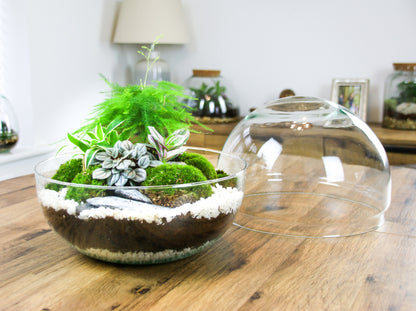 Large terrarium with removable glass lid