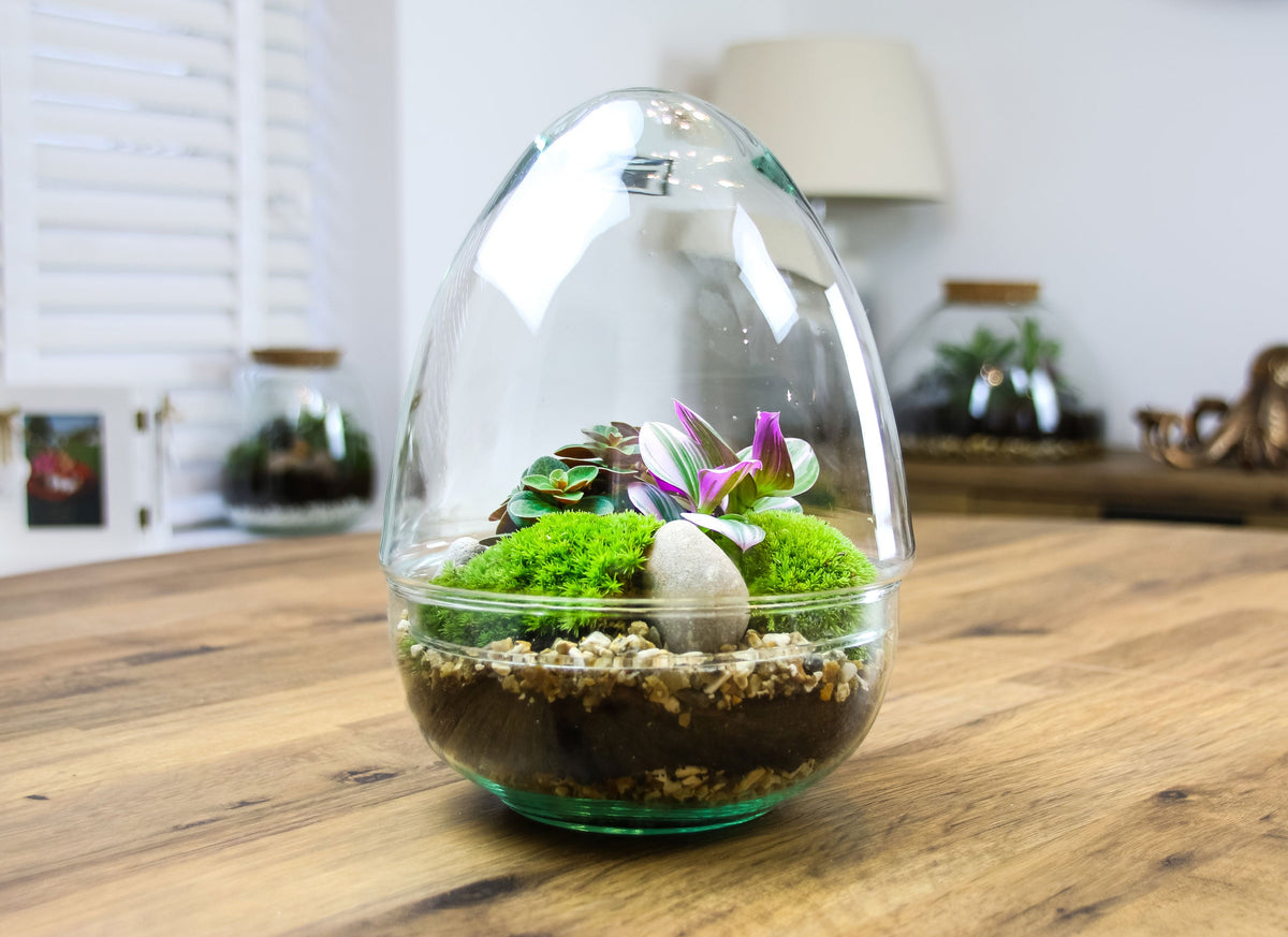 Build your own terrarium instructions