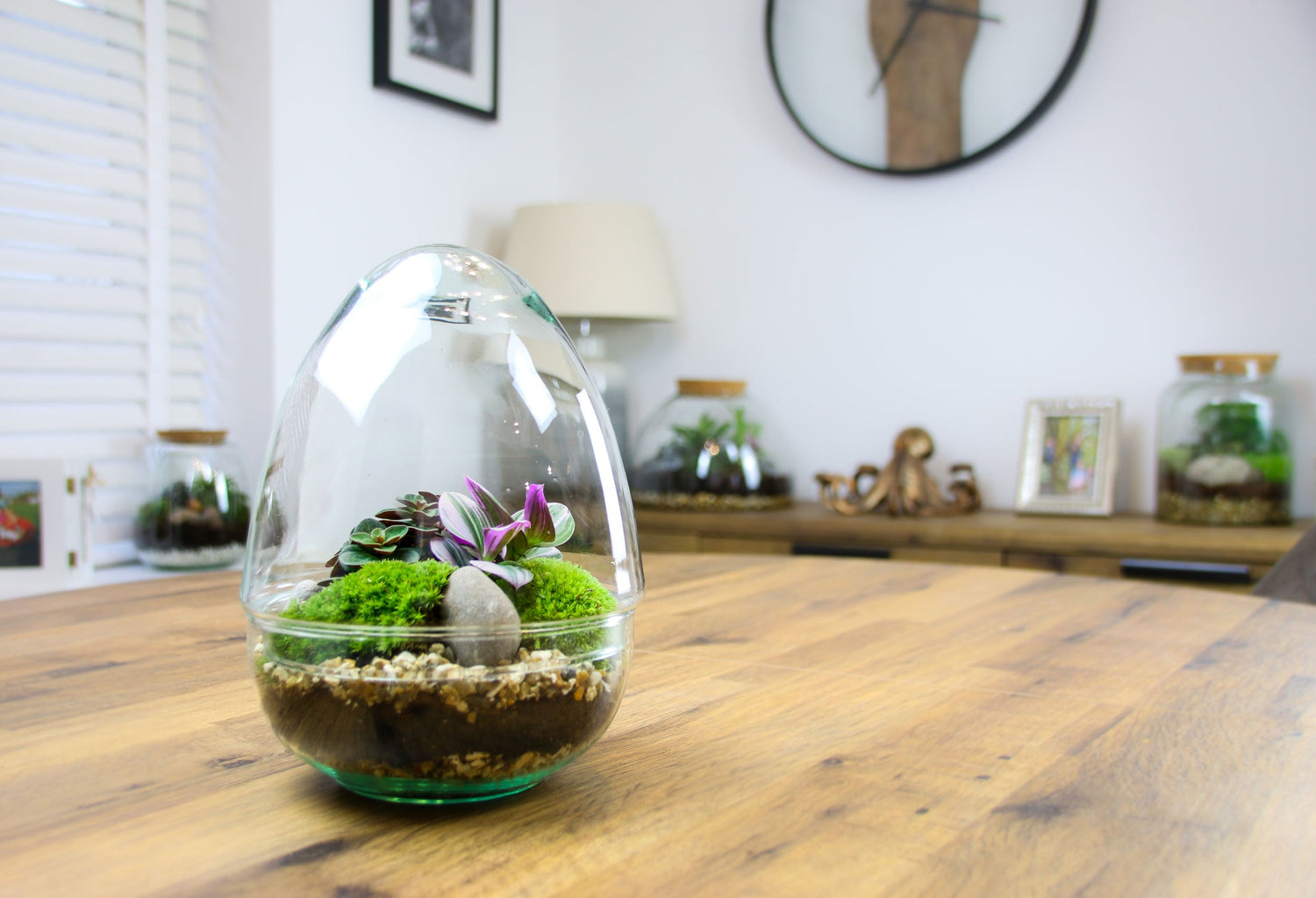 Egg shaped Closed Terrarium kit to build at home
