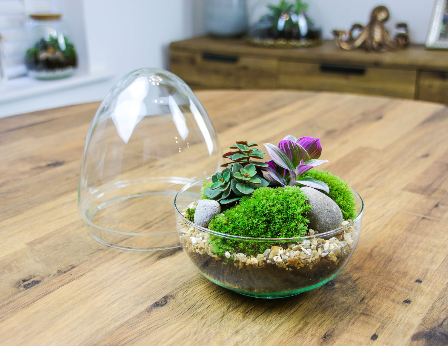 terrarium for plants uk The Egg
