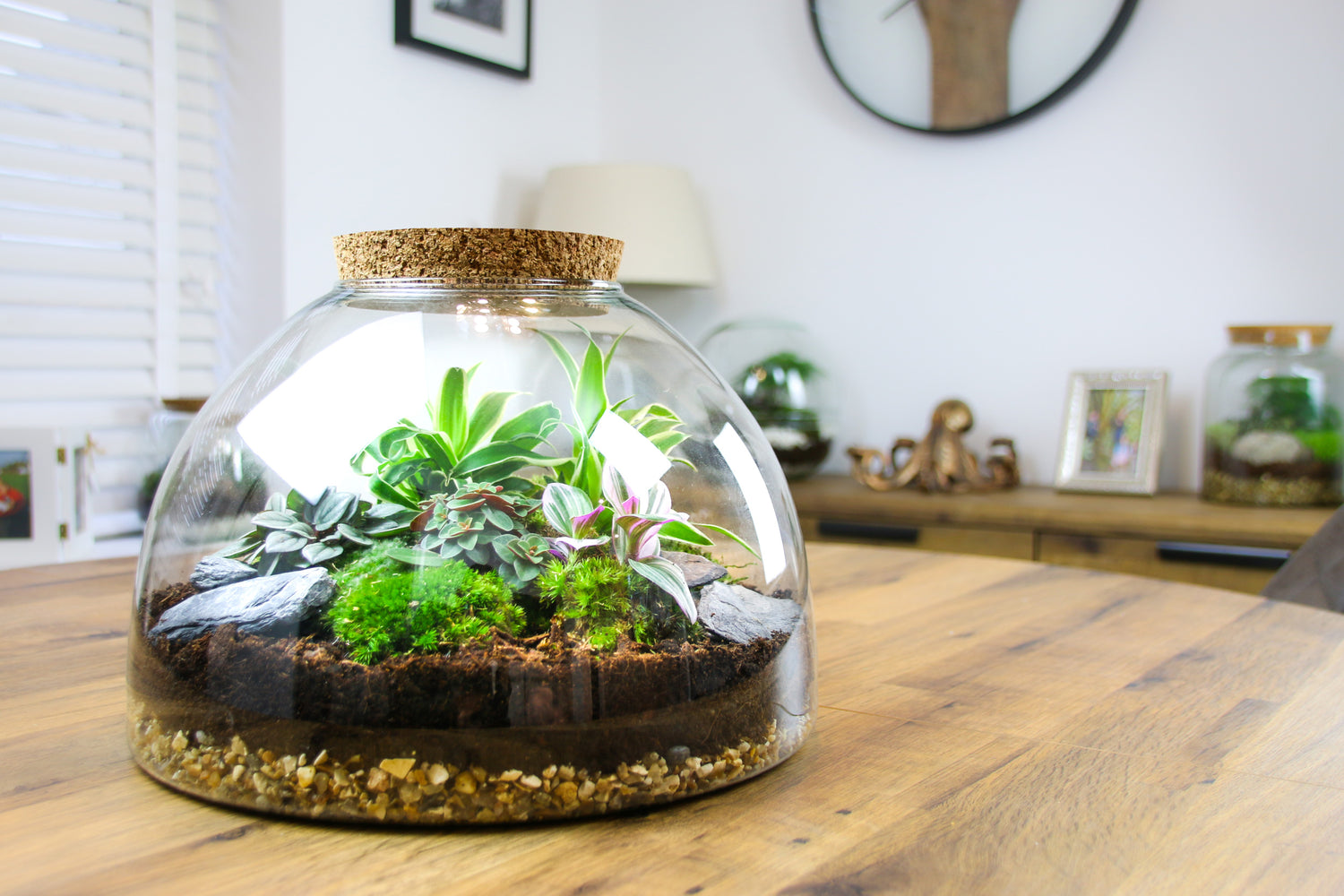 Terrarium gifts  free UK delivery