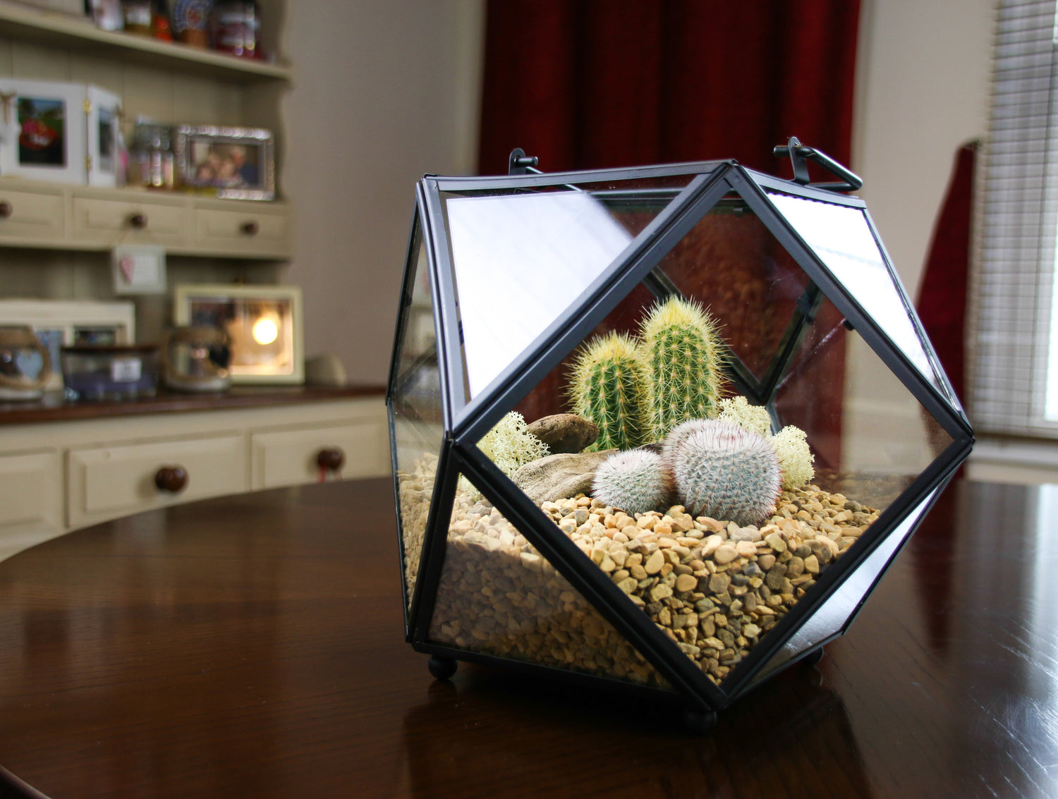 DIY Cacti Terrarium Kit