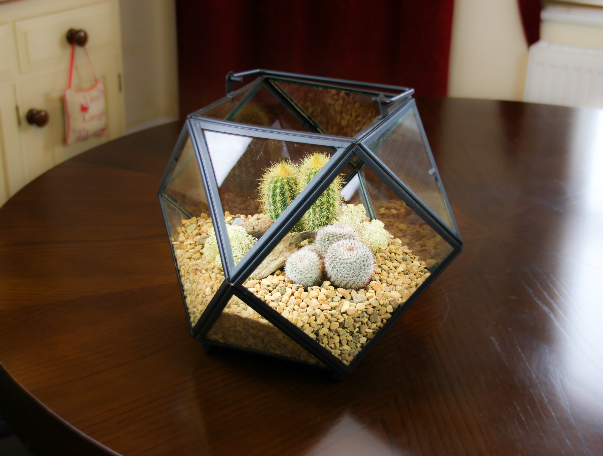 Home Accessory Cacti gift