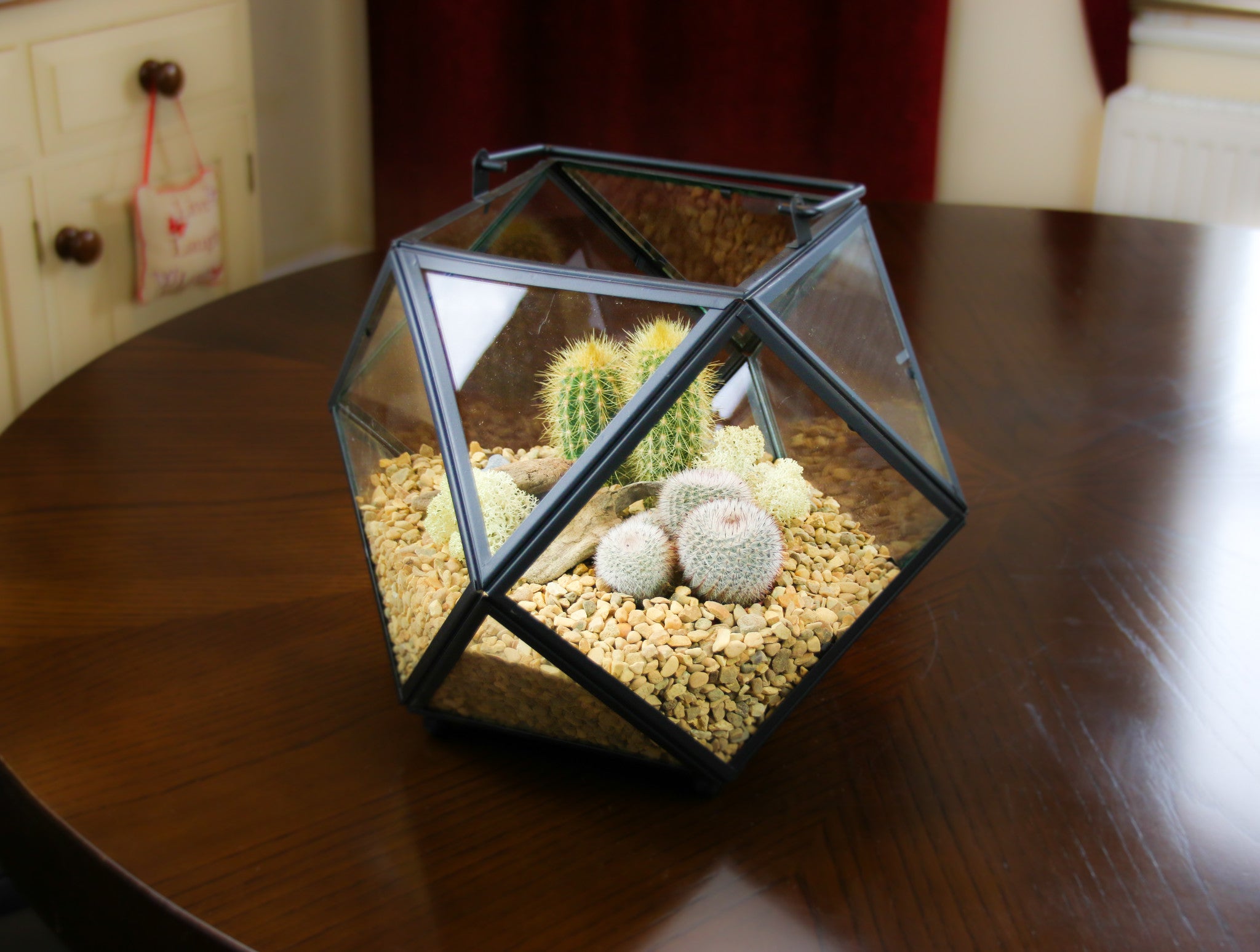 Cactus Terrarium Kit Stunning Large Geometric Design, UK The Art of