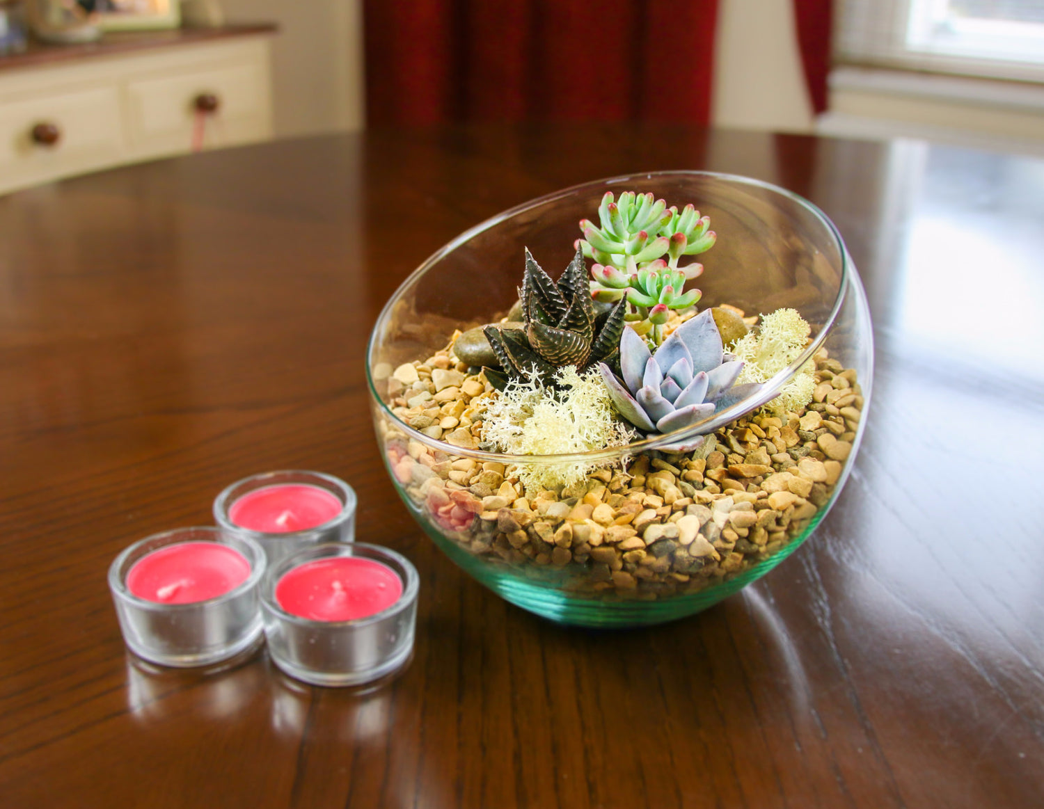 Glass Bowl Succulent Terrarium kit