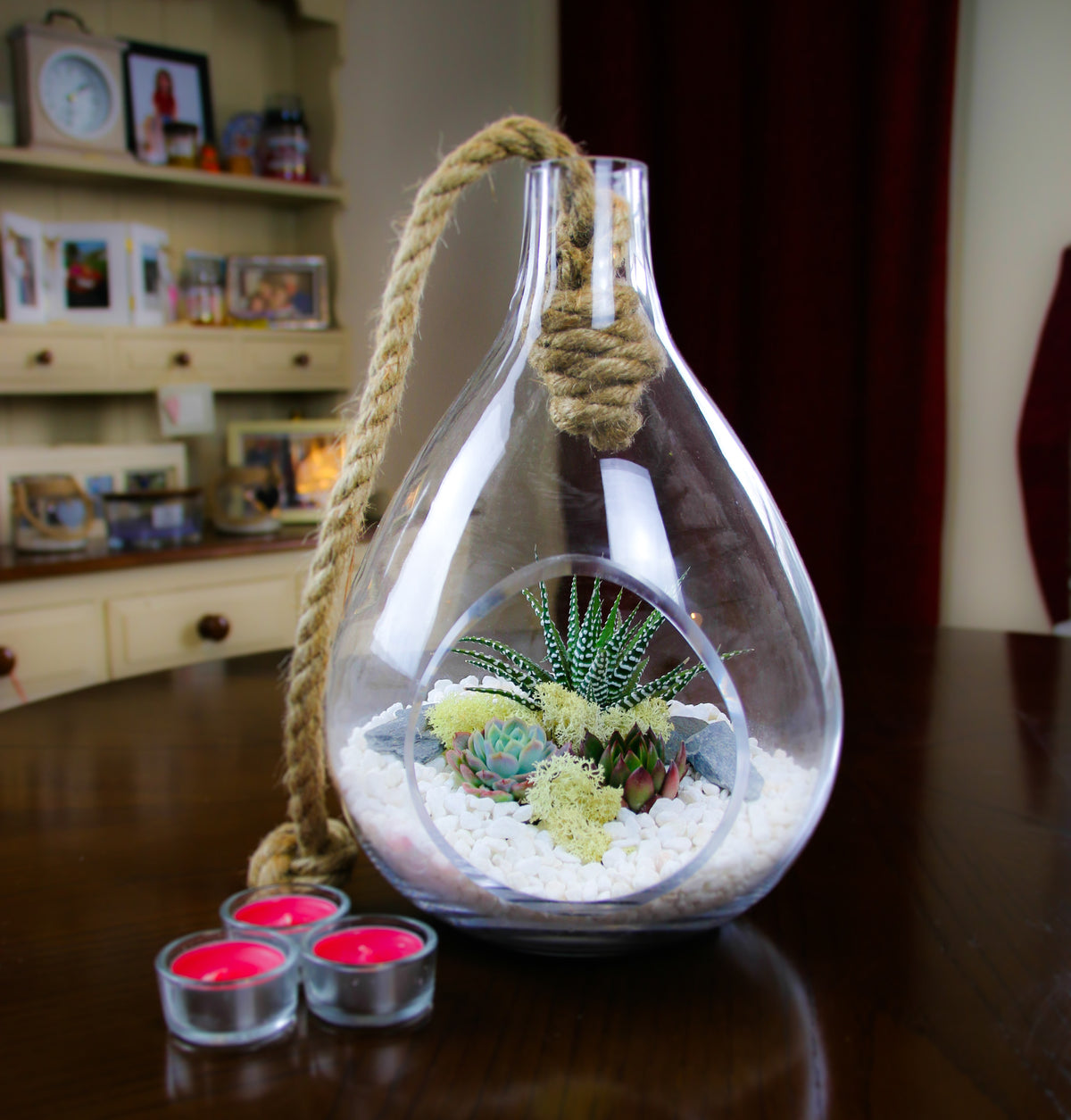 Glass and Rope Terrarium Kit