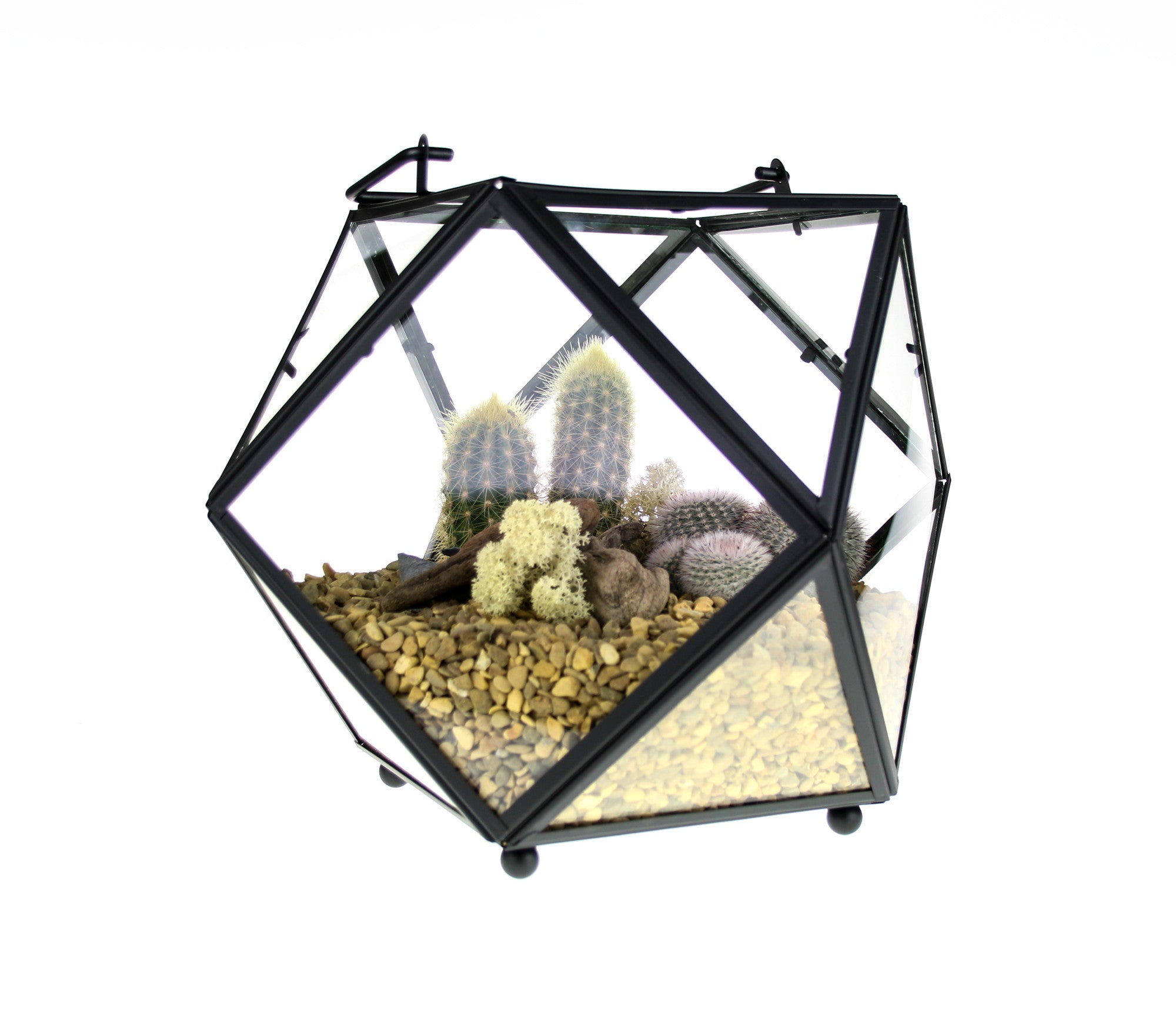 Geometric Glass and Copper Terrarium