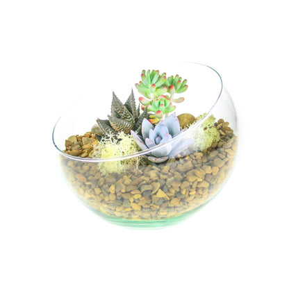 Glass Terrarium with Plants