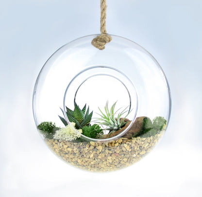 Air plant diy terrarium kit