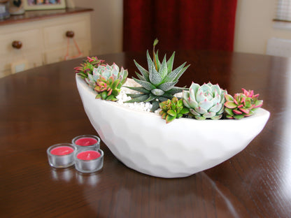 Ceramic indoor plant arrangement