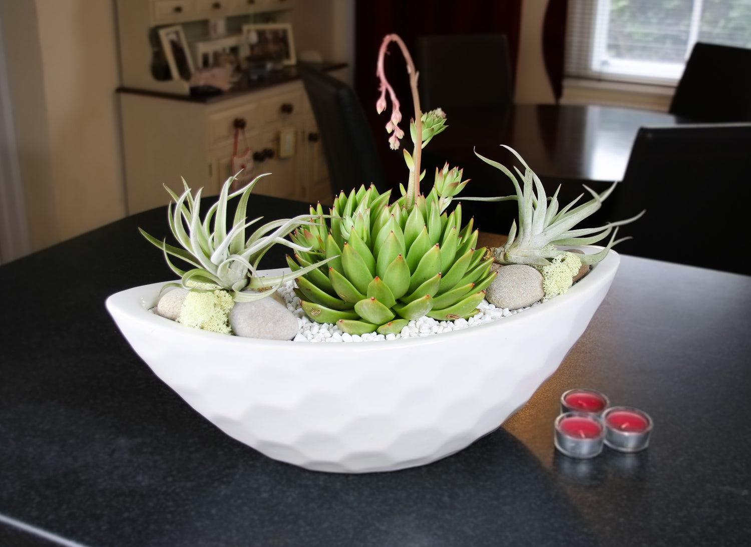 Indoor Plant arrangement