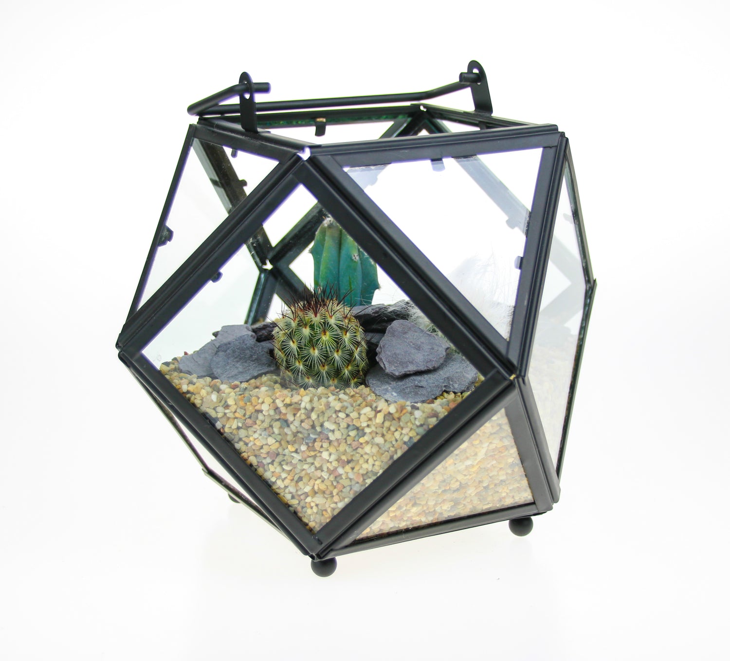 DIY Cactus Terrarium
