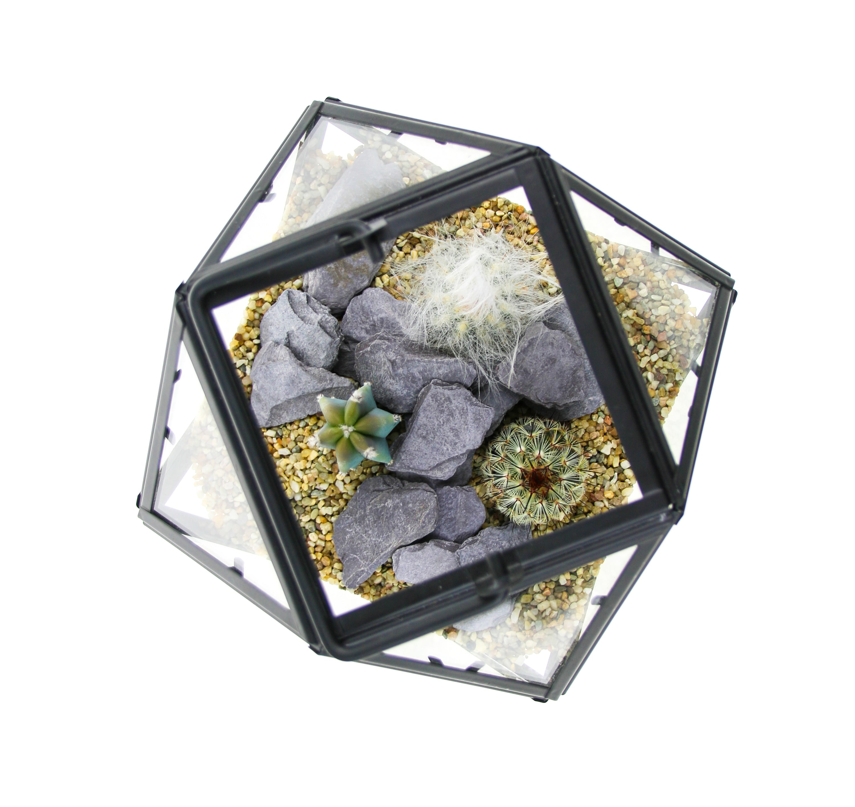 Mini Cactus Terrarium Kit Geometric Design, UK, Cactus Gift