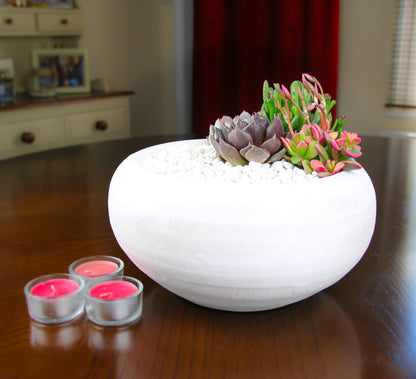 Indoor Plant Arrangement with Succulents
