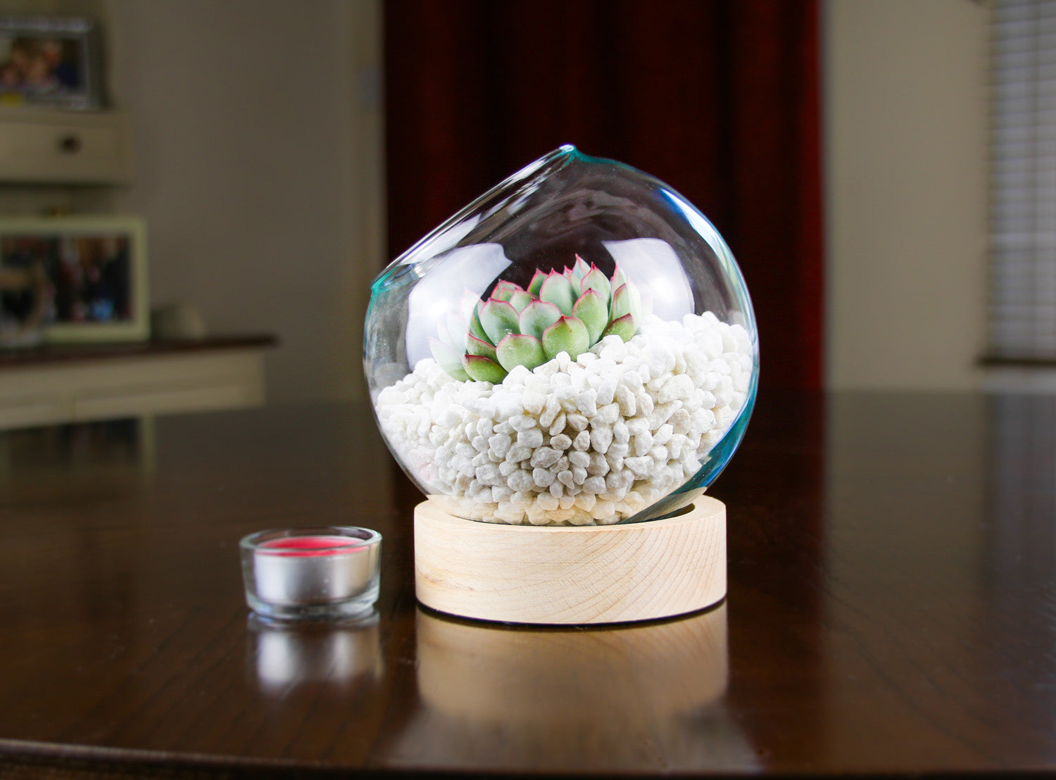 Glass terrarium with wooden base