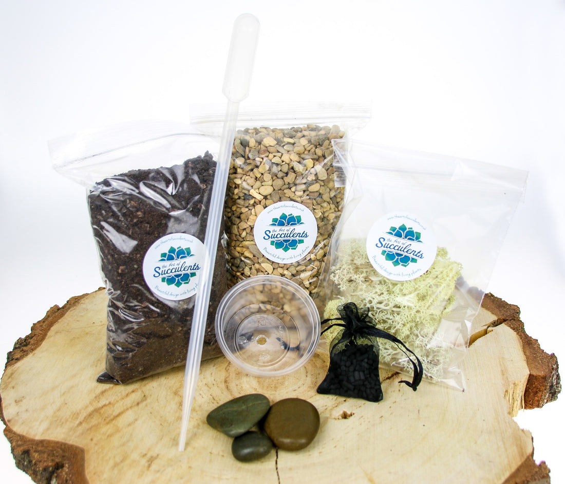 Terrarium Starter Kit