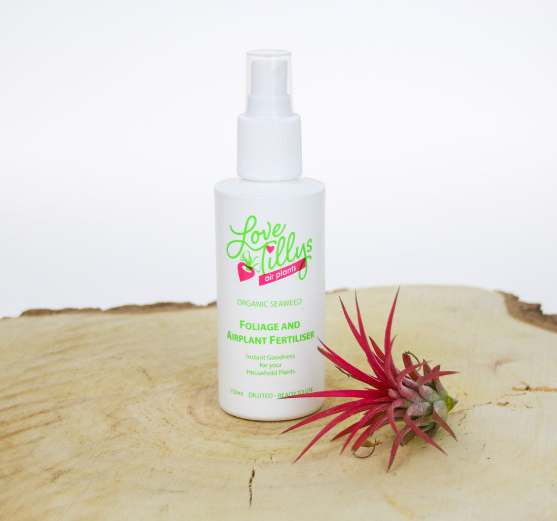 Air Plant Fertiliser