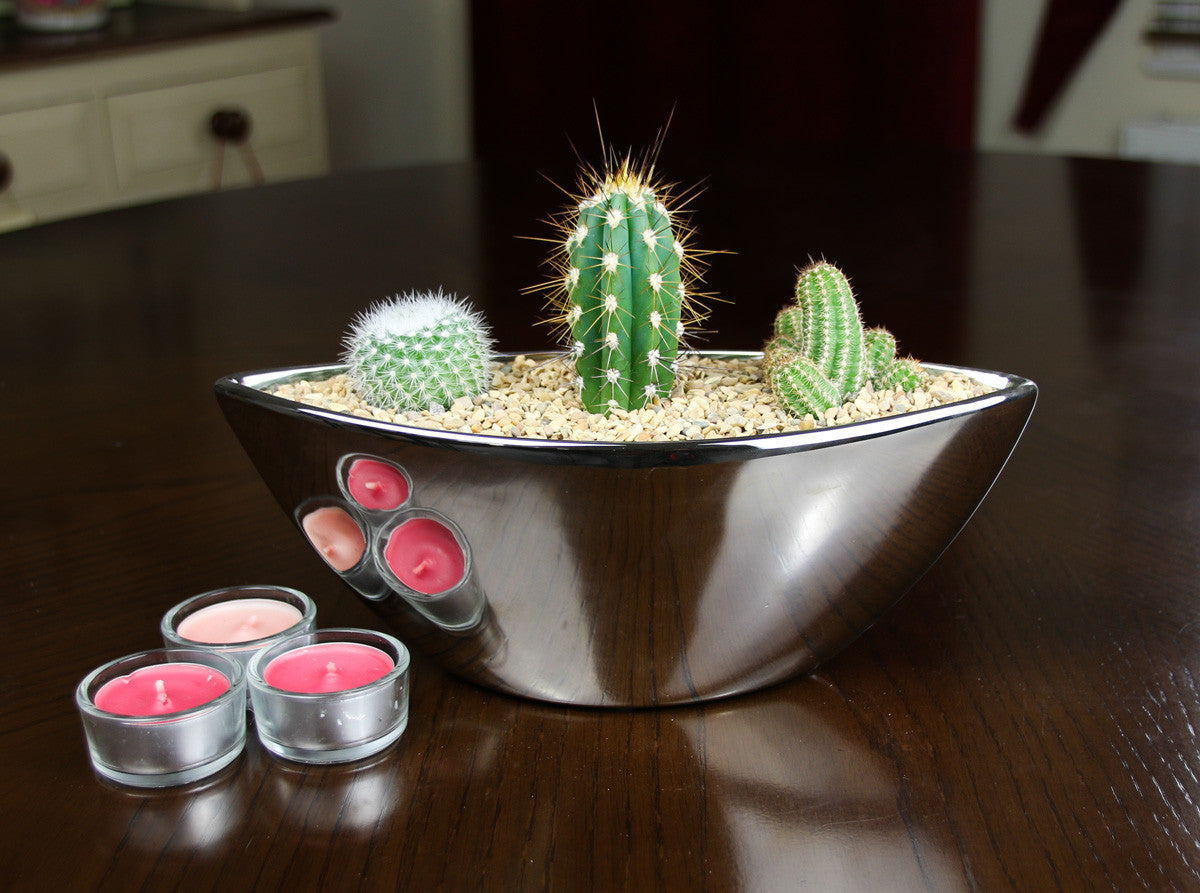 Cacti Planter Set