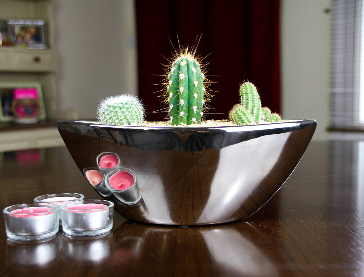 Cacti gift ideas, indoor planter, UK