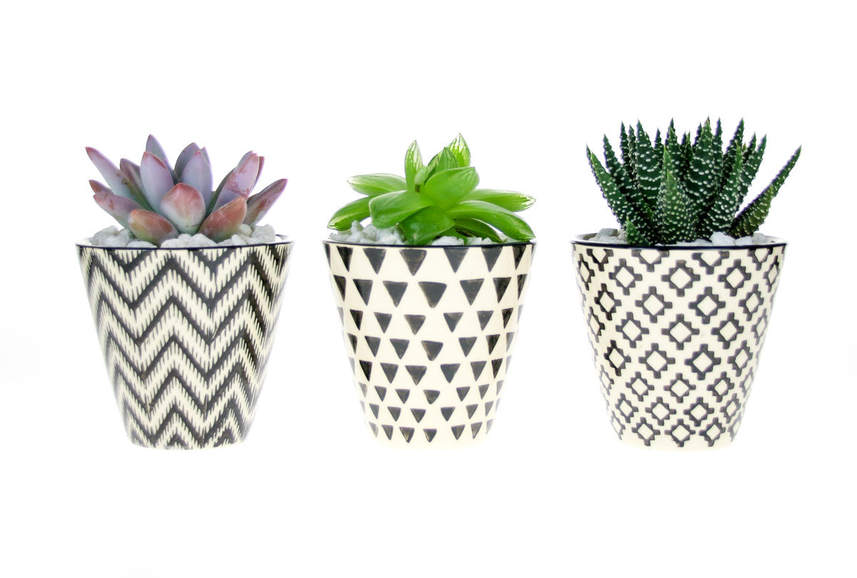 Indoor plant pots