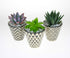 Geometric mini planters