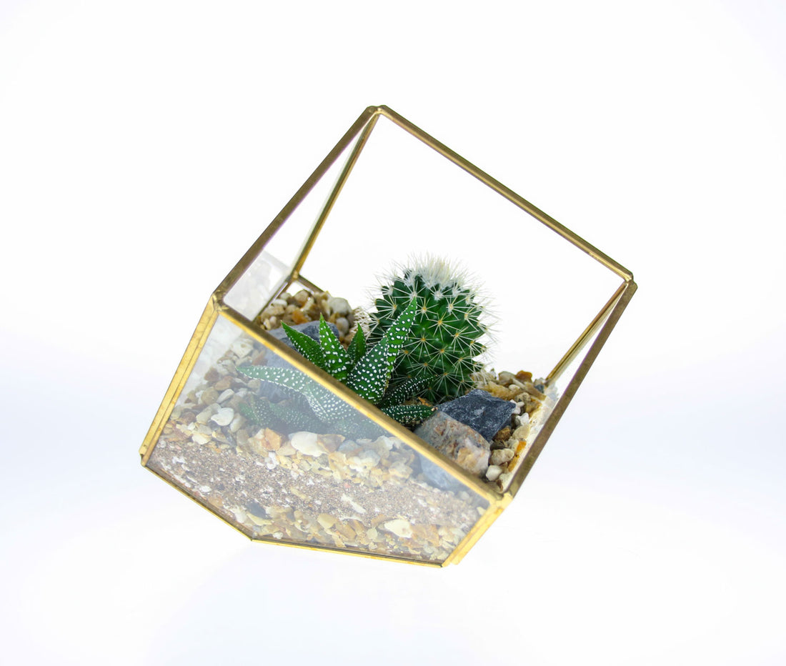 Geometric brass terrarium