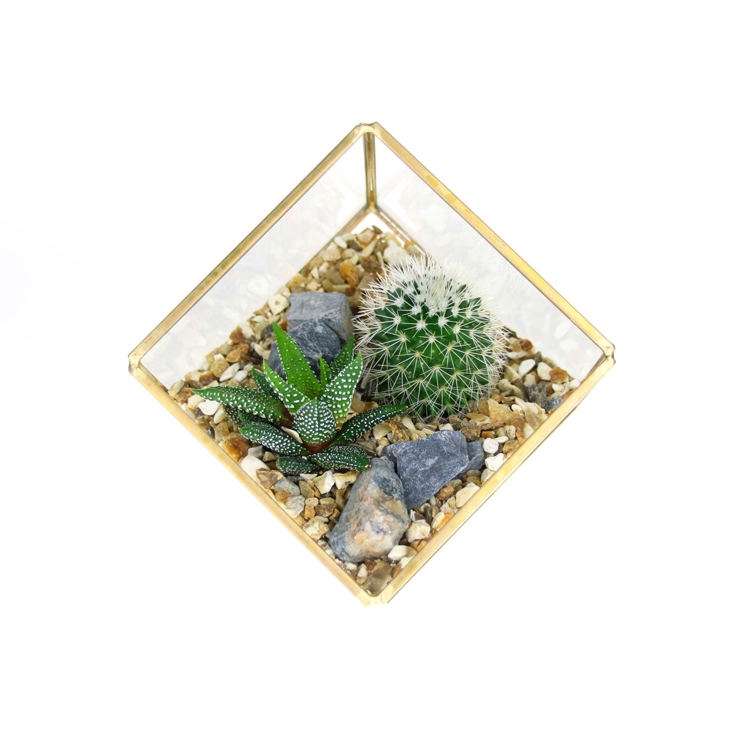 planted terrarium gifts