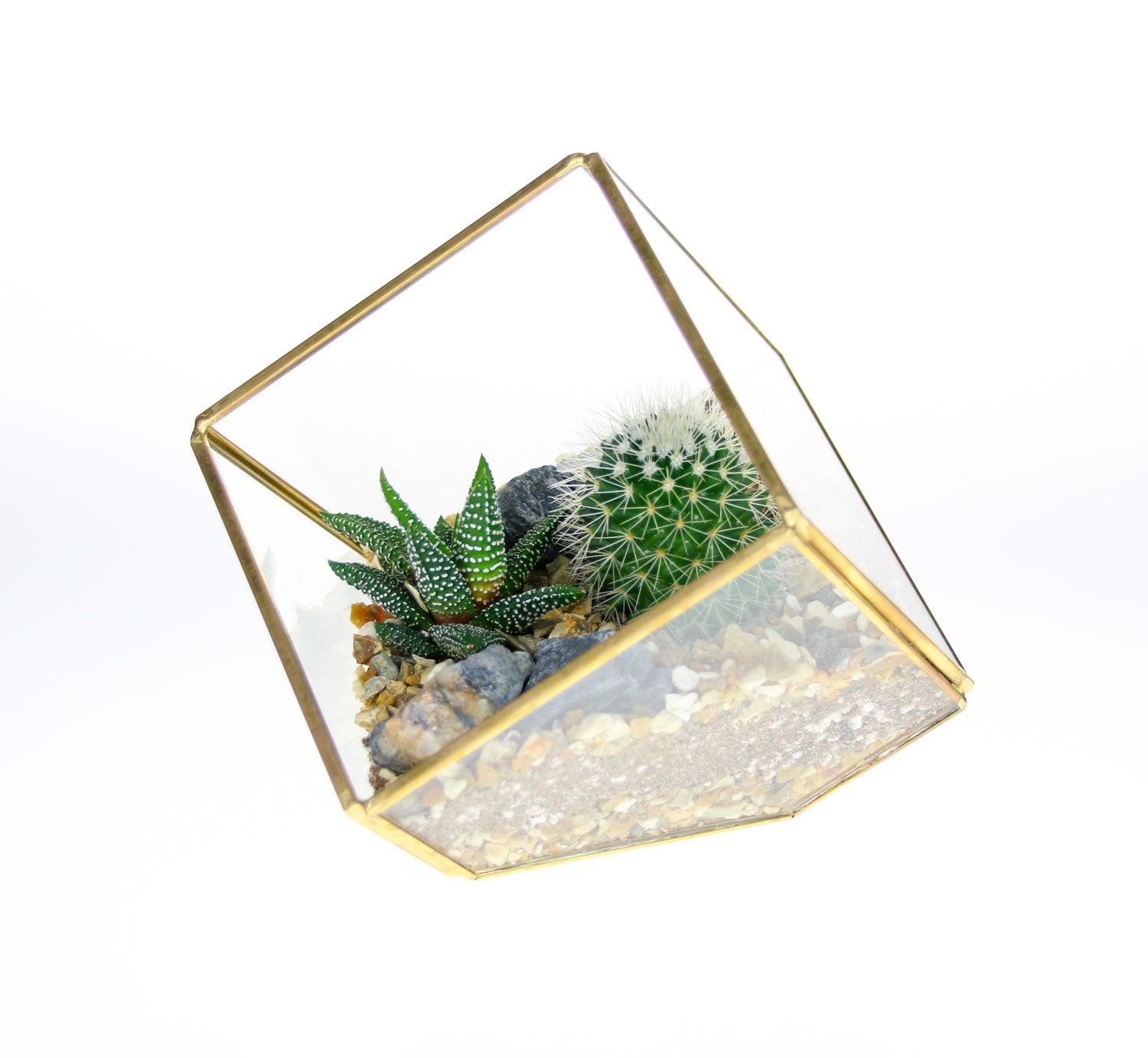Home indoor plant ideas