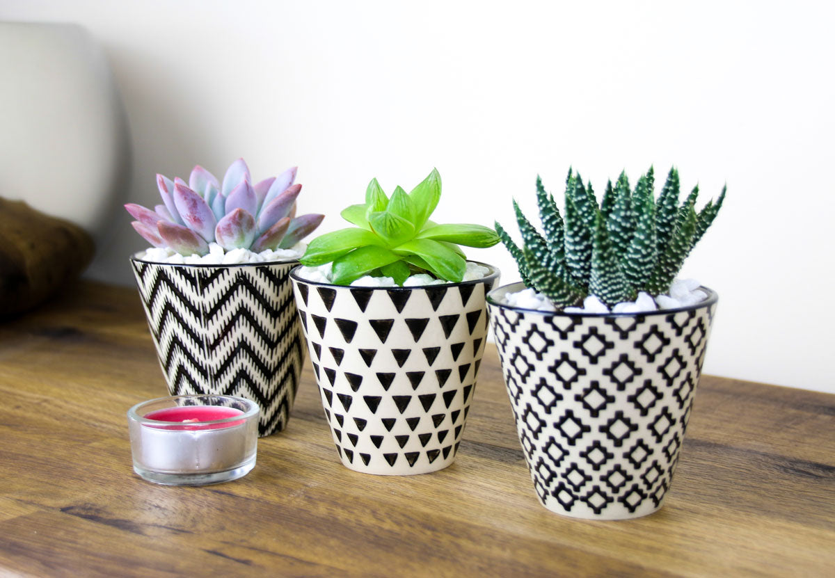 home decor planters