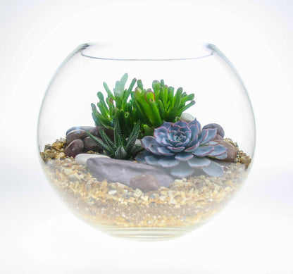 Terrarium with real plants