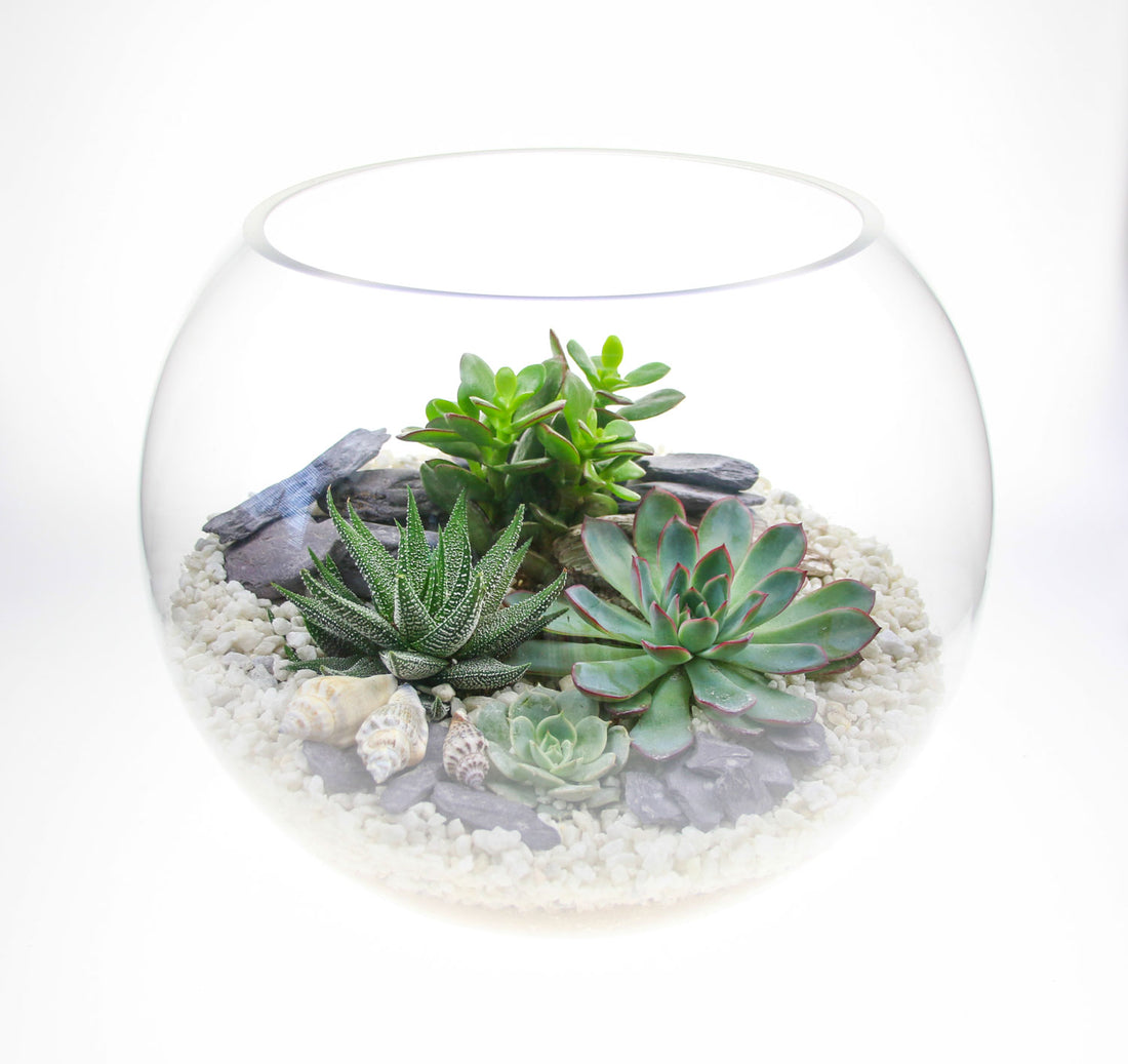 Home accessory gift