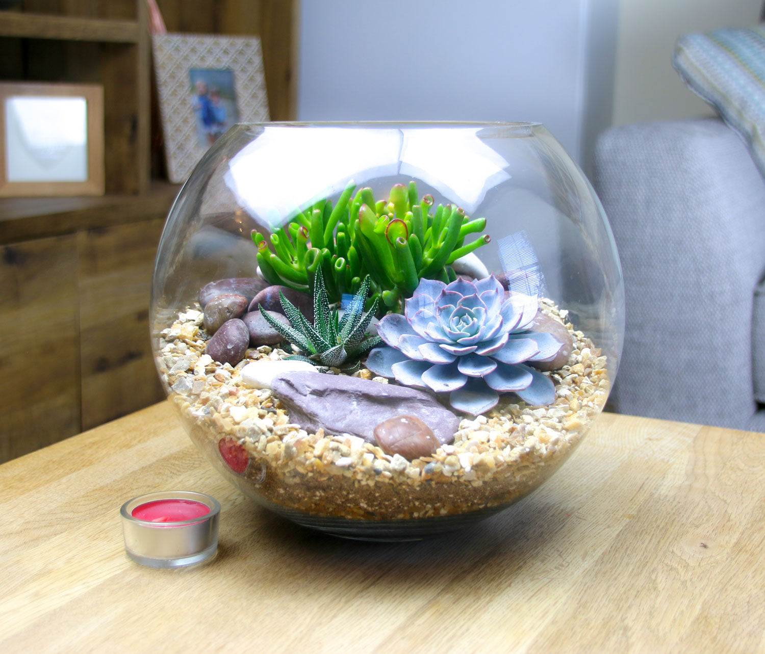 succulent plant gifts uk Mother's Day Glass Globe Succulent Terrarium Gift – The Art of Succulents