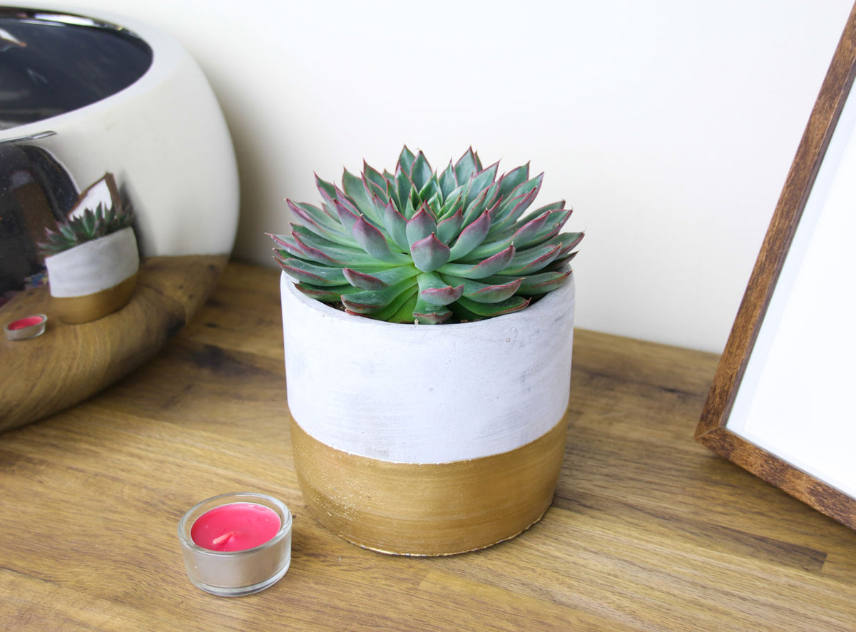 Indoor planter industrial design