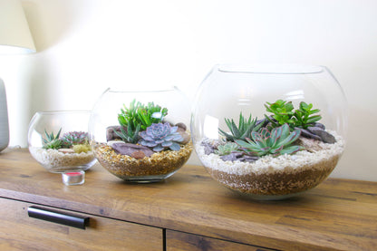 Home decor ideas with terrariums