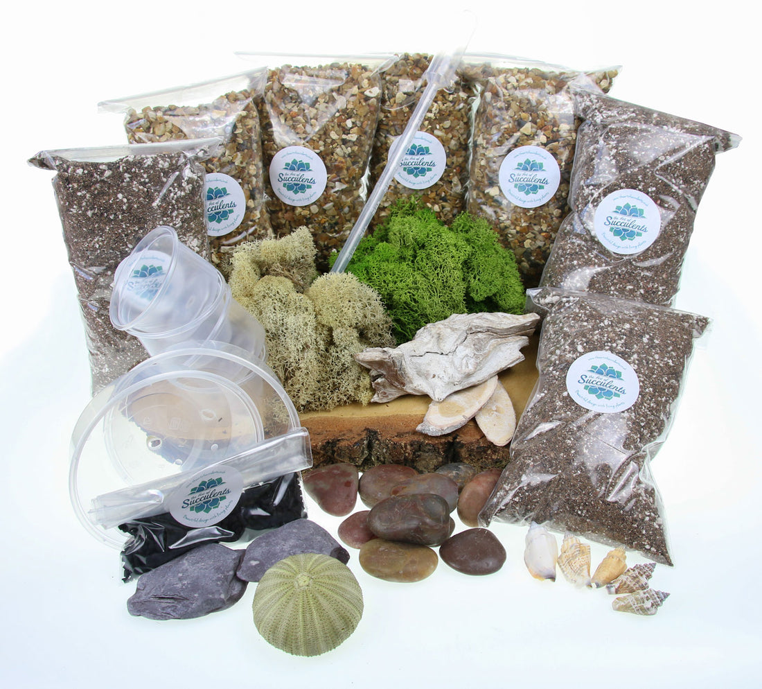 Contents to build your own large terrarium