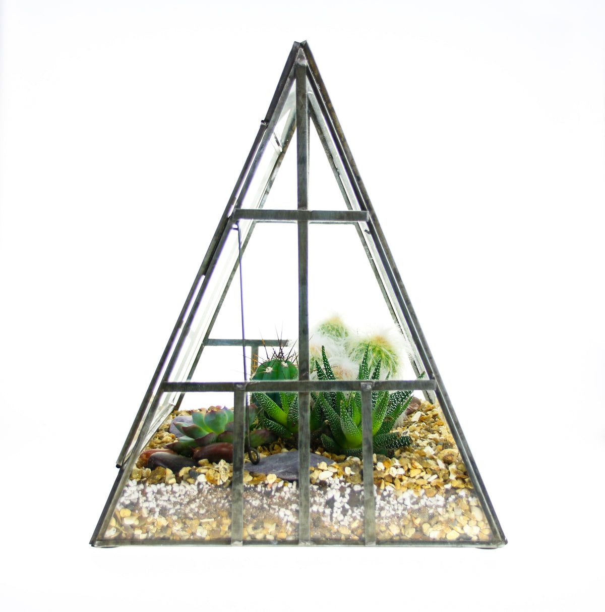 Large Pyramid Greenhouse Terrarium with Cactus and Succulent Mix, – The ...
