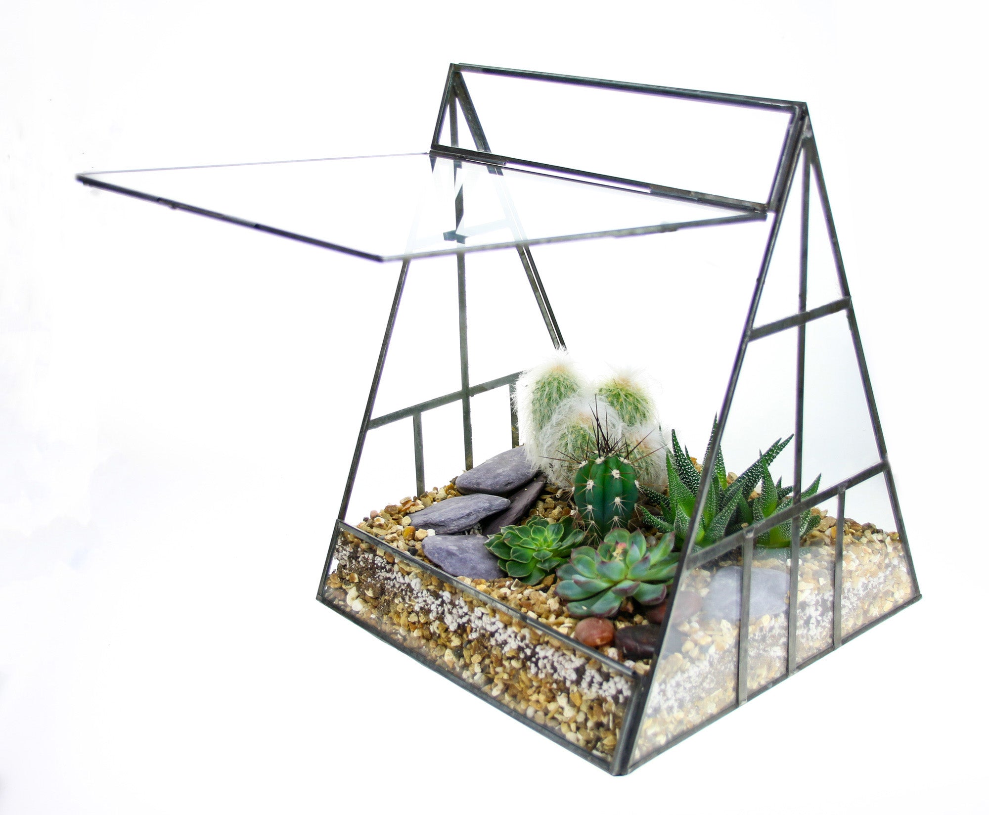 Enclosed greenhouse terrarium