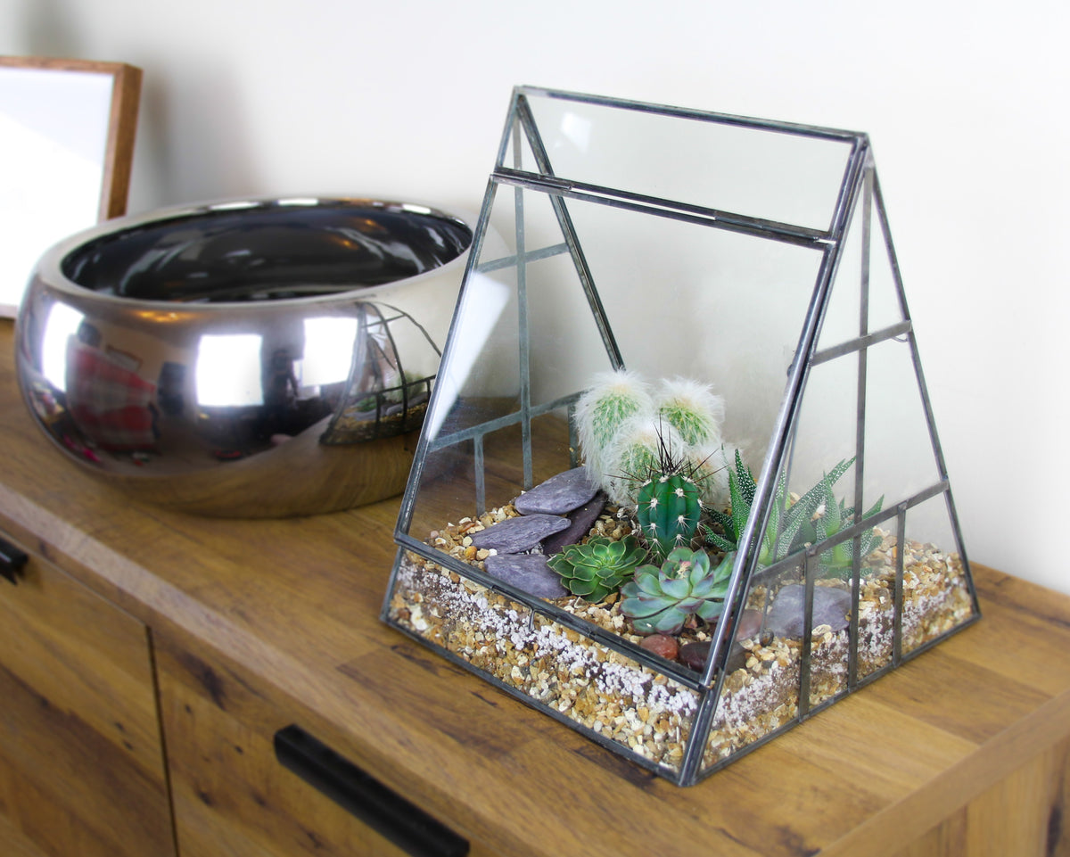 Large Pyramid Greenhouse Terrarium with Cactus and Succulent Mix, – The ...