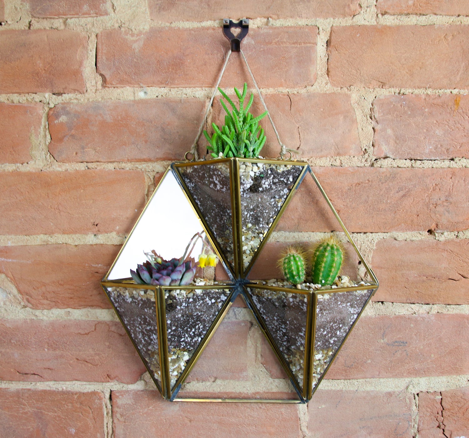 brass wall hanging planter Brass Wall Hanging Succulent and Cactus Trio Display with living plants – The Art of Succulents