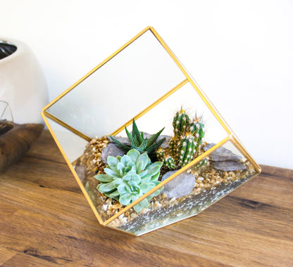 Medium Geometric Cube Terrarium with Succulents and Cacti