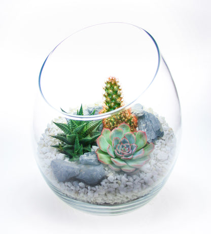 Tall glass terrarium with angled top