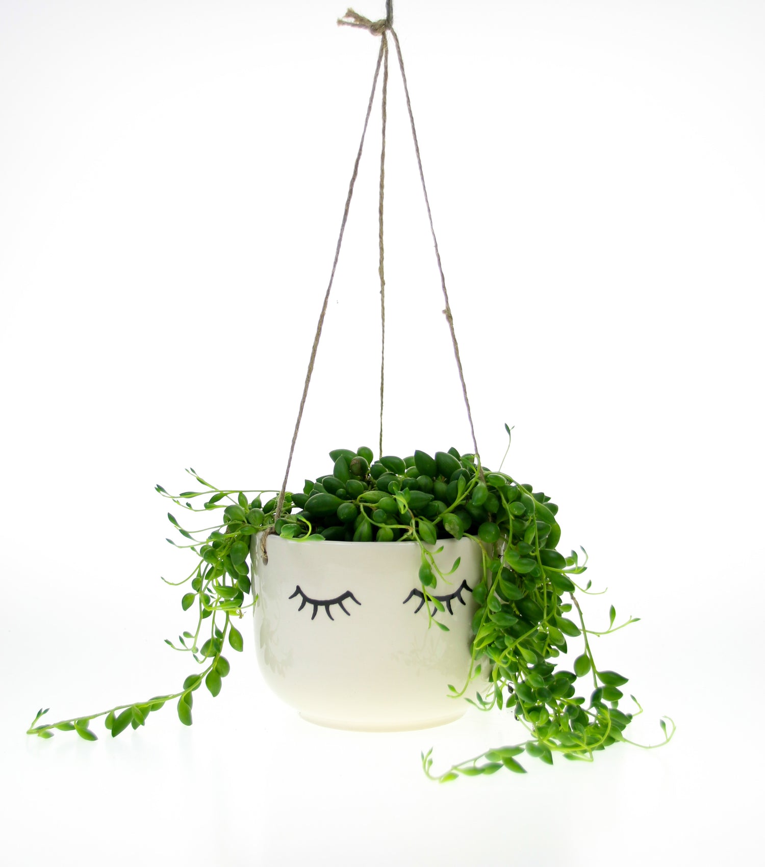 hanging planter for string of pearls Hanging Eyes Shut Planter with String of Pearls Plant – The Art of Succulents