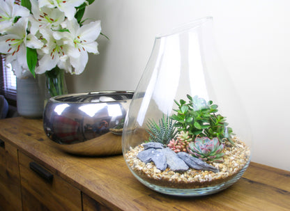 Handmade glass terrarium order online