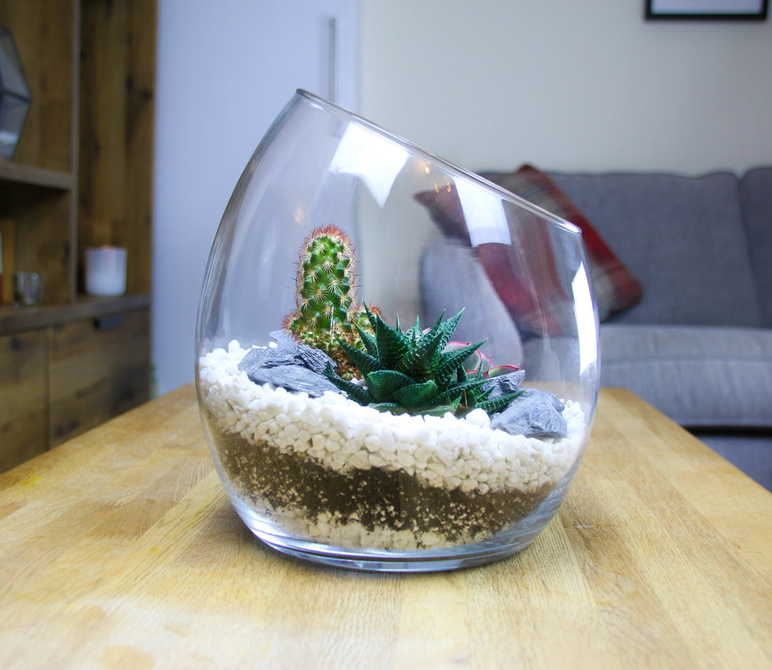 Beautiful terrarium gift ideas