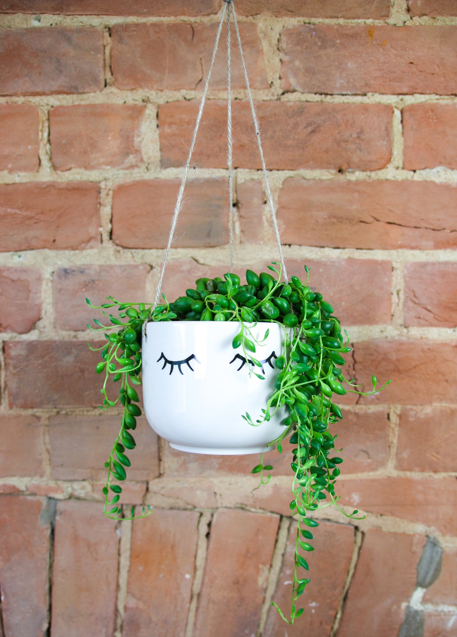 Indoor hangning plant pot