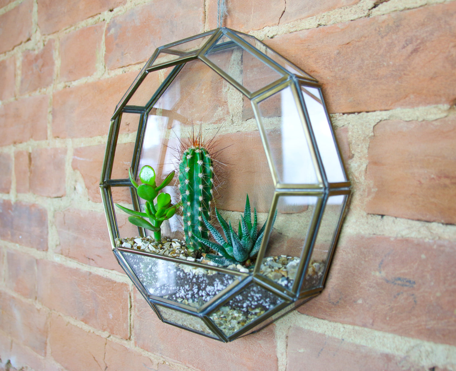 geometric succulent wall planter Circular Brass Wall Hanging Terrarium with Succulent and Cactus Trio – The Art of Succulents